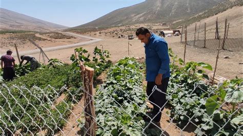 Nomadic life in Iran: Nomads who have a family garden - YouTube