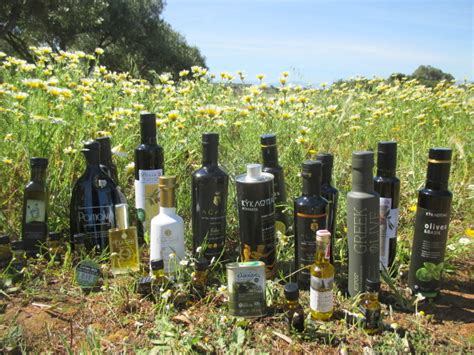 How Greek Olive Oil Becomes 'Italian' - GreekReporter.com