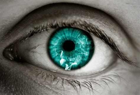 Pin by Wolf on Eyes | Light blue eyes, Rare eyes, Turquoise eyes