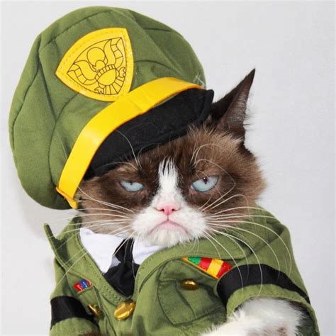 Timeline Photos - The Official Grumpy Cat | Pet costumes, Funny grumpy ...