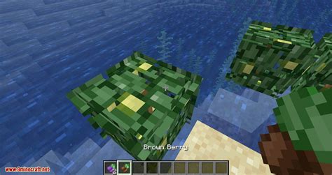 Berry Bushes Mod 1.15.2/1.14.4 (Randomly Spawn Berry Bushes with ...