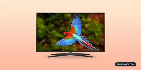 Best 4K TVs for Outdoor Use in 2024 - TechEngage