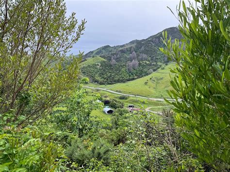 Discover the Biggest Hiking Trail in Nelson, New Zealand - Ulastempat International