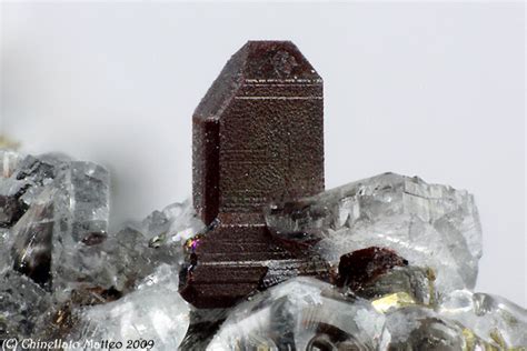 Mineralienatlas Lexikon - Fayalite (english Version)