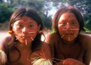 Yanomami Marriage