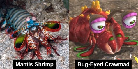 Pikmin 3 Enemies in Real Life : r/Pikmin