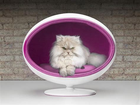 Cat Beds - The Molly & Claude Team