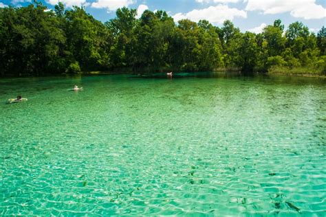 12 Prettiest Natural Springs In Florida - Florida Trippers