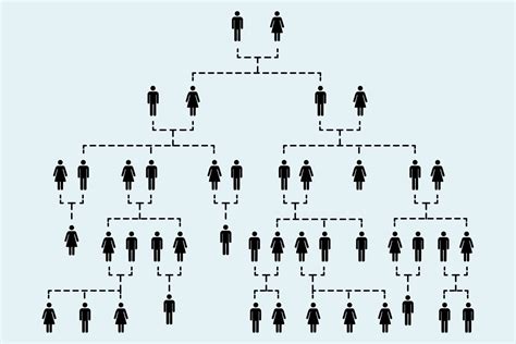 Second Cousin vs. Second Cousin Once Removed—Cousin Chart