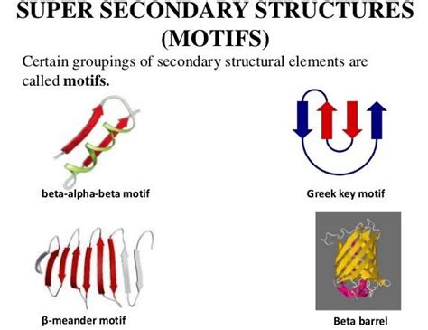 Super secondary structures of proteins or Motif - Microbiology Notes