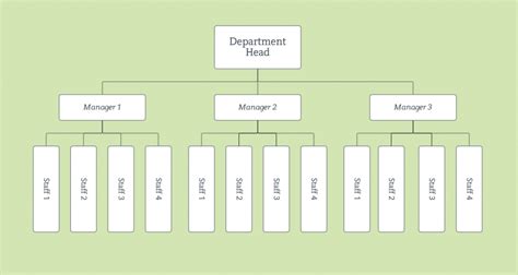 Structura organizatorică firmă (organigramă) - tipuri, modele + sfaturi