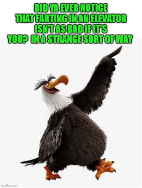 angry birds eagle - Imgflip