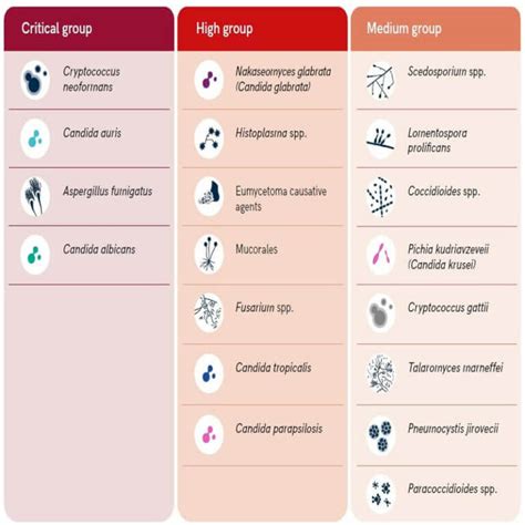 Fungal Diseases - ClearIAS