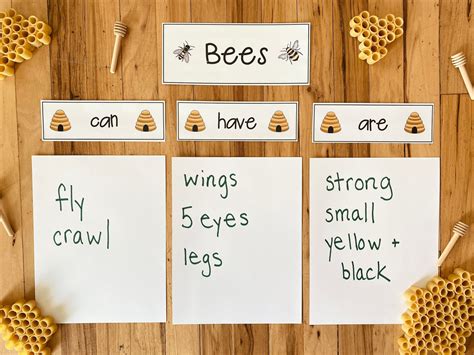 Bee Unit: Science Pack - Etsy