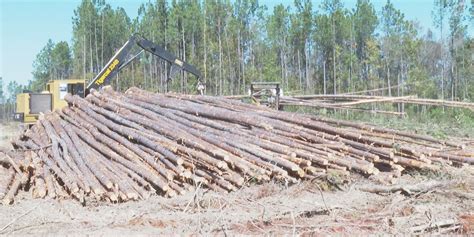 Logging industry struggling in Louisiana