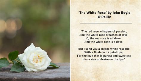 9 Irish Wedding Poems You'll LOVE (2023)