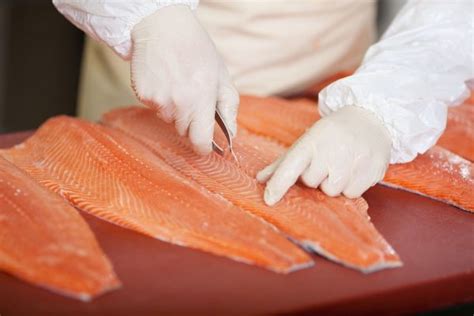 Global Salmon Farming Industry Creates 13,2600 jobs | Fish Focus