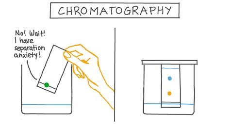 Paper Chromatography Diagram