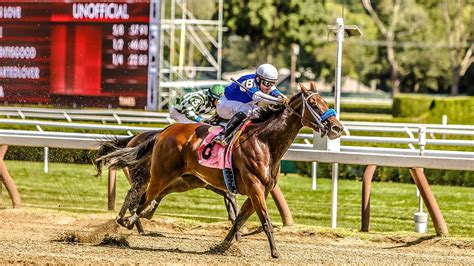 Saratoga Race Course Fourstardave Tables Tickets | Event Dates ...