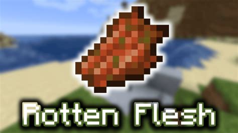 Rotten Flesh - Wiki Guide - 9Minecraft.Net