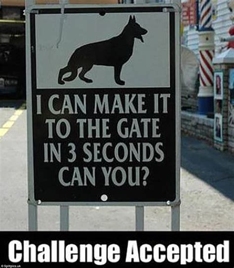 Funny memes of the Challenge Accepted social media trend | Daily Mail Online