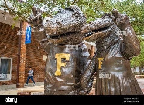 University of Florida mascots, Albert and Alberta Gator, facing Ben ...