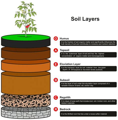 Layers Of Soil Definition Description With Diagram Soil | The Best Porn ...