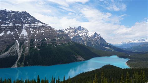 Banff National Park | 11 best free outdoor, plant, lake and fir photos ...