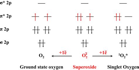 Molecular orbital diagrams for ground‐state oxygen, superoxide radical... | Download Scientific ...