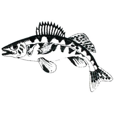 Walleye Outline Machine Embroidery Design | Embroidery Library at ...