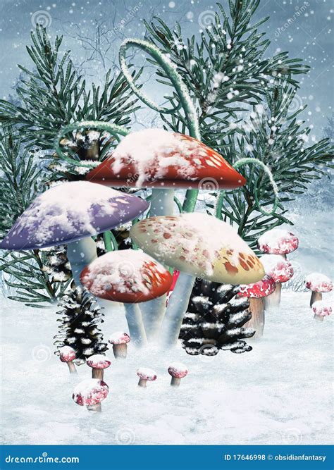 Winter mushrooms stock illustration. Image of mushroom - 17646998