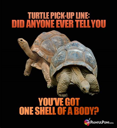 Turtle Jokes, Tortoise Puns, Terrapin Humor 2 | PainfulPuns.com