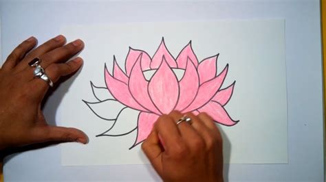 How to draw lotus flower step by step | How to draw a lotus flower step by step for beginners ...