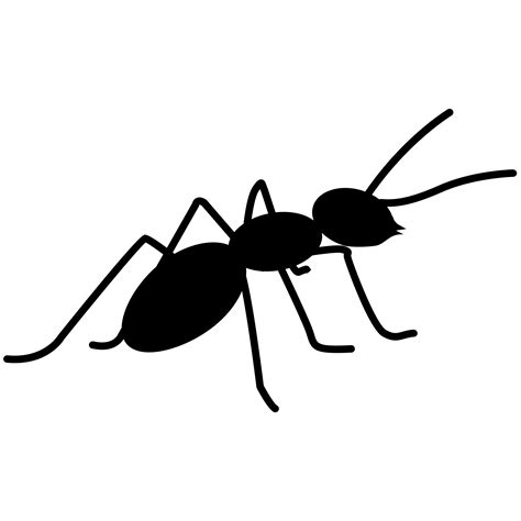 Ants PNG Image for Free Download
