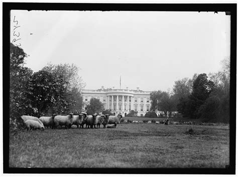 8 Things You Never Knew About The White House Gardens | White house ...