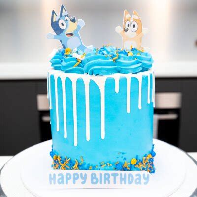 Bake at Home Kit - Bluey Birthday Cake! | Lollipop Cake Supplies