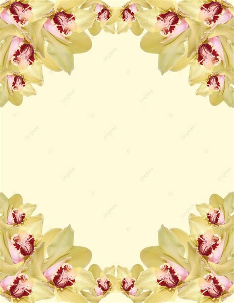 Orchid Border Design Celebration Dimensional Photo Background And Picture For Free Download ...