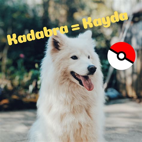 Pokemon Puppy Names