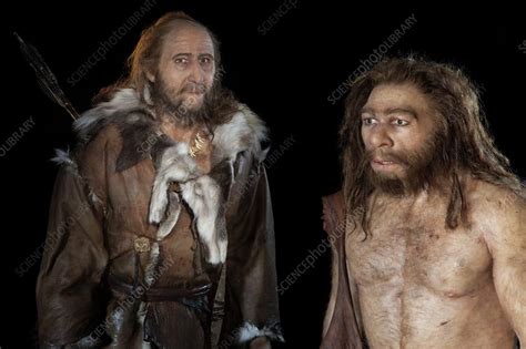 Neanderthal Vs Cro Magnon