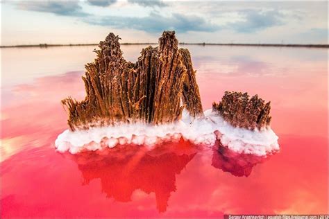 Sivash Salt Lagoons in the Crimean Peninsula | Amusing Planet