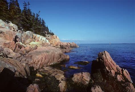 Rocky Coastline Along the Maine Shore Stock Photo - Image of rocky ...