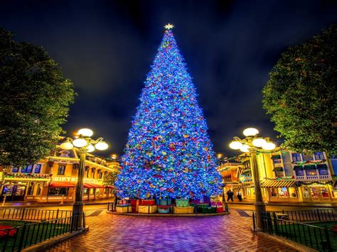 Download Town Square Blue Light Christmas Tree Holiday Christmas HD ...