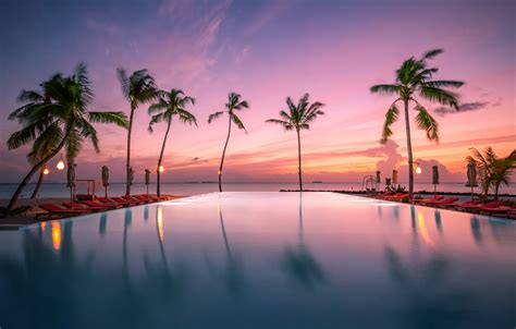 Wallpaper sunset, tropics, palm trees, the ocean, pool, Maldives, The Indian ocean, Indian Ocean ...