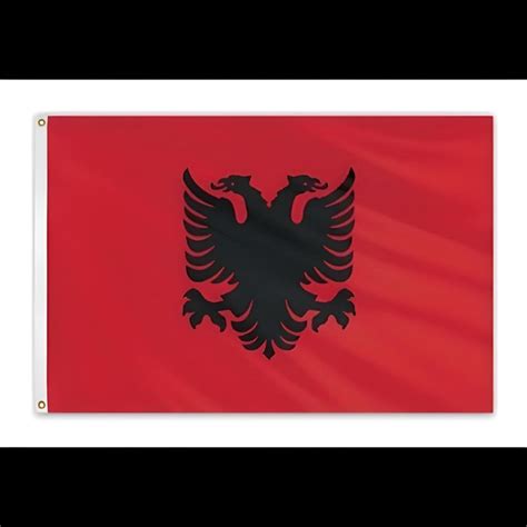 Single Sided Polyester Albania Flag at Rs 450 | प्रिंटेड फ्लैग in New Delhi | ID: 2851302652497