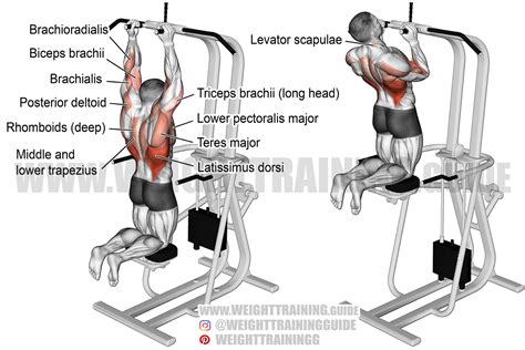 Machine-assisted close neutral-grip pull-up exercise instructions and video