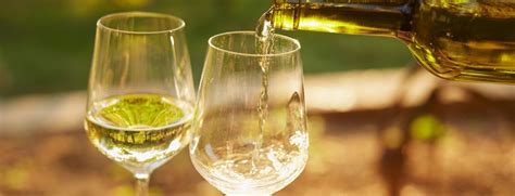 10 Fun Facts About White Wine – Wine Insiders