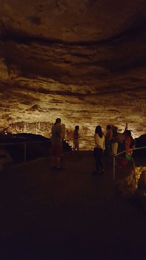 Caverns in San Antonio, TX | Nature adventure, Adventure, Nature