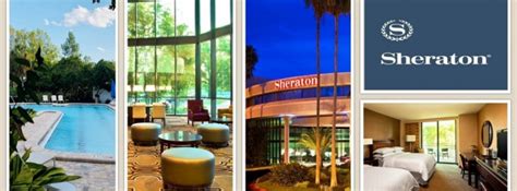 Sheraton Tampa Brandon Hotel - Recreation - Downtown Tampa - Tampa