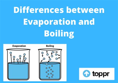 Differences Between Evaporation and Boiling in Chemistry