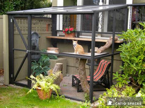 All About Catios & Cat Enclosures - Catio Spaces